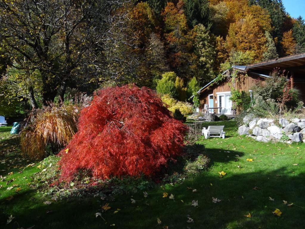 Gaestehaus Buehler Oberstdorf Oda fotoğraf